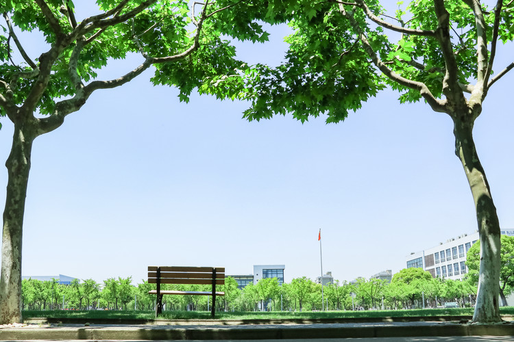 简阳市平武镇初级中学学校师资力量如何
